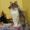Отзыв от Василиса Глушкова